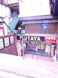 中野富士見町駅 徒歩9分 1階の物件内観写真